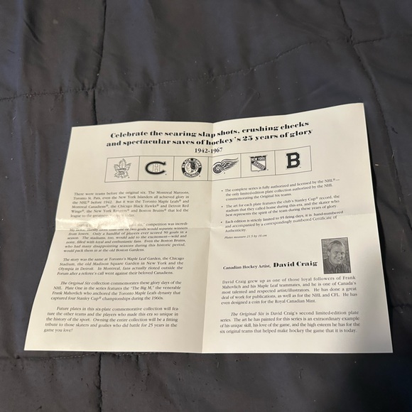 1996 Bradford Exchange Maple Leafs Plate - Picture 6 of 7